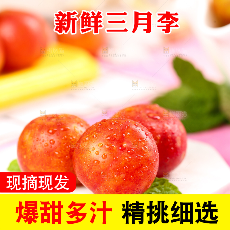 白石板上摆放着钱排三月李