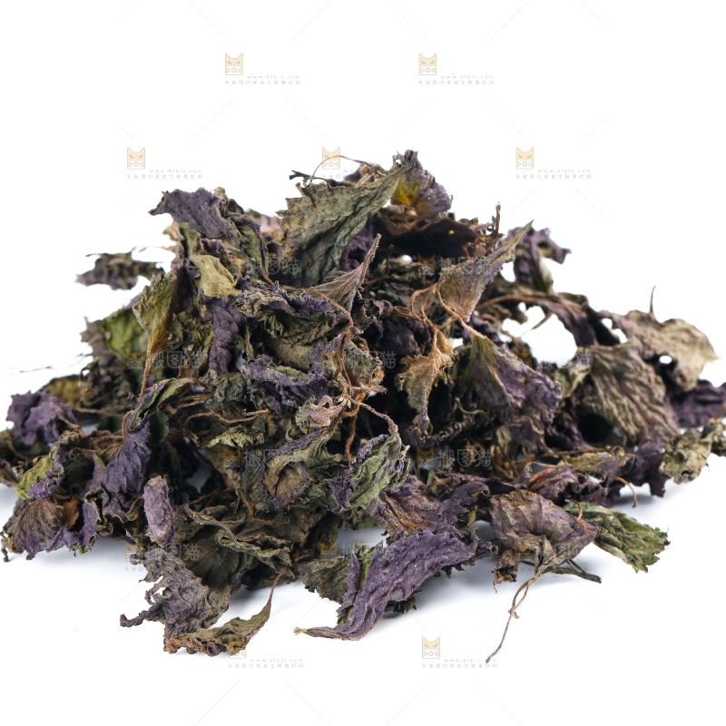 白底上的紫苏叶干