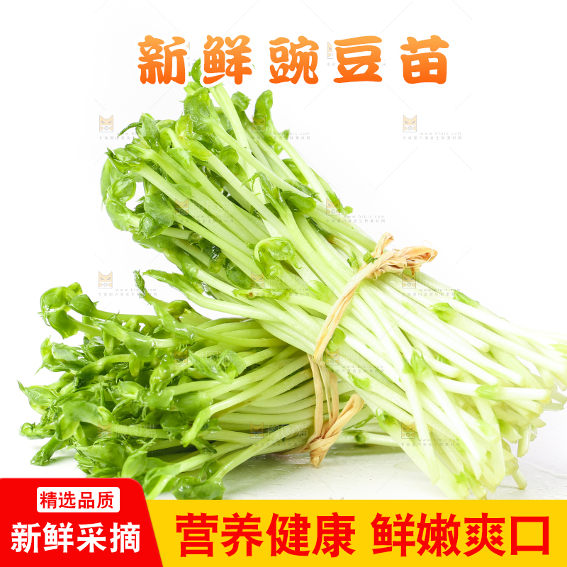 白底上放着豌豆芽菜