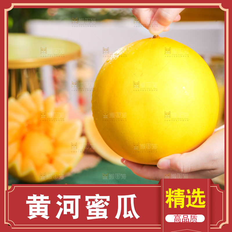 手拿新鲜的黄金蜜瓜