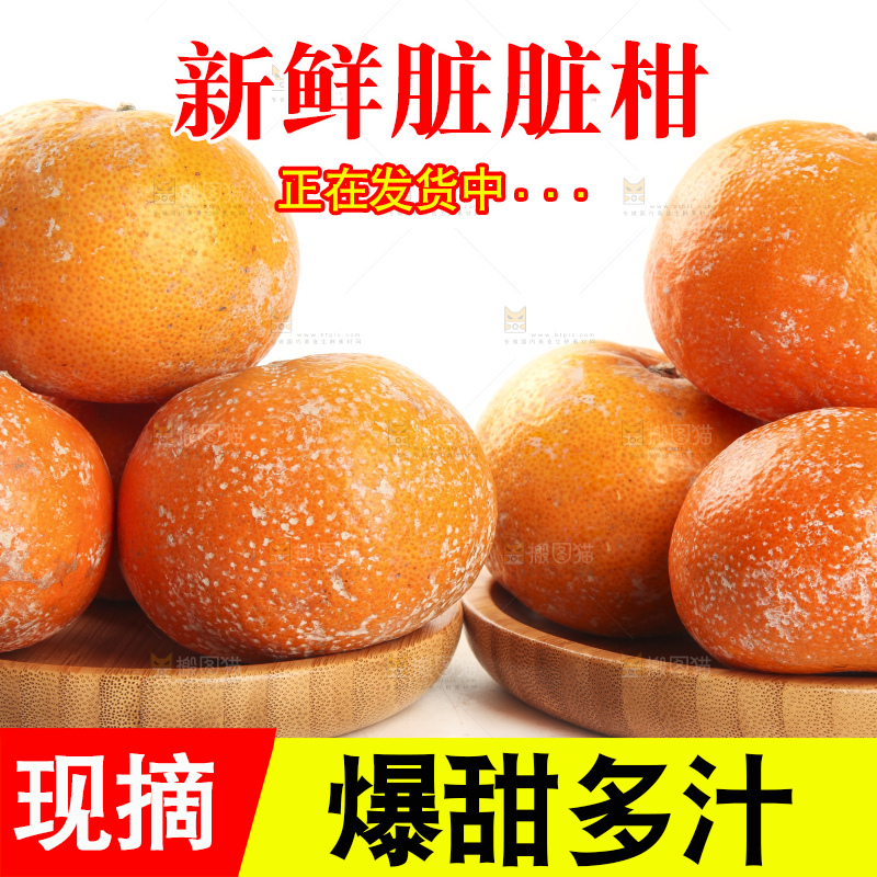 白底上的新鲜茂谷柑