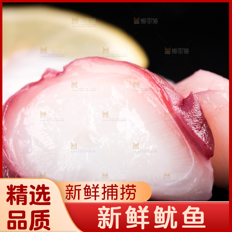 黑石板上的大鱿鱼