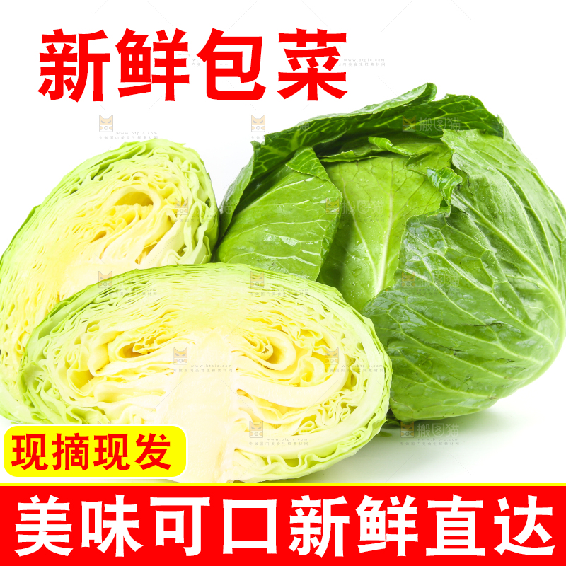 切开的包菜放在白底上