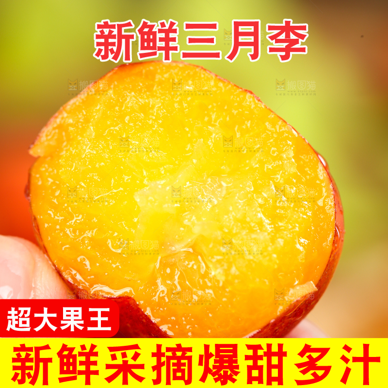 手里拿着新鲜李子
