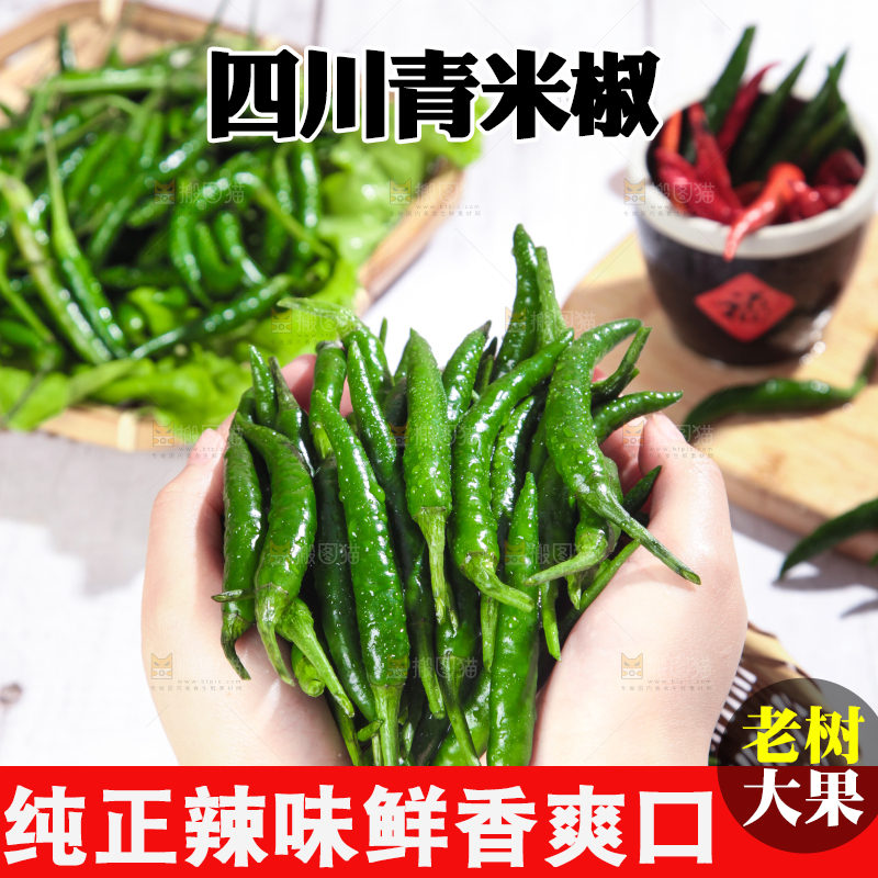 手拿新鲜的指天椒