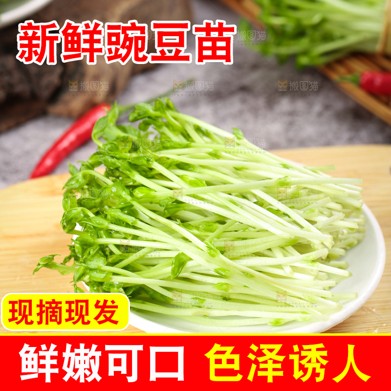 木板上放着豌豆芽