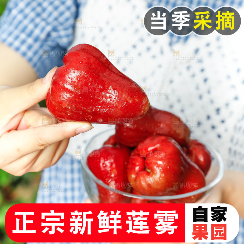 手拿一碗新鲜莲雾