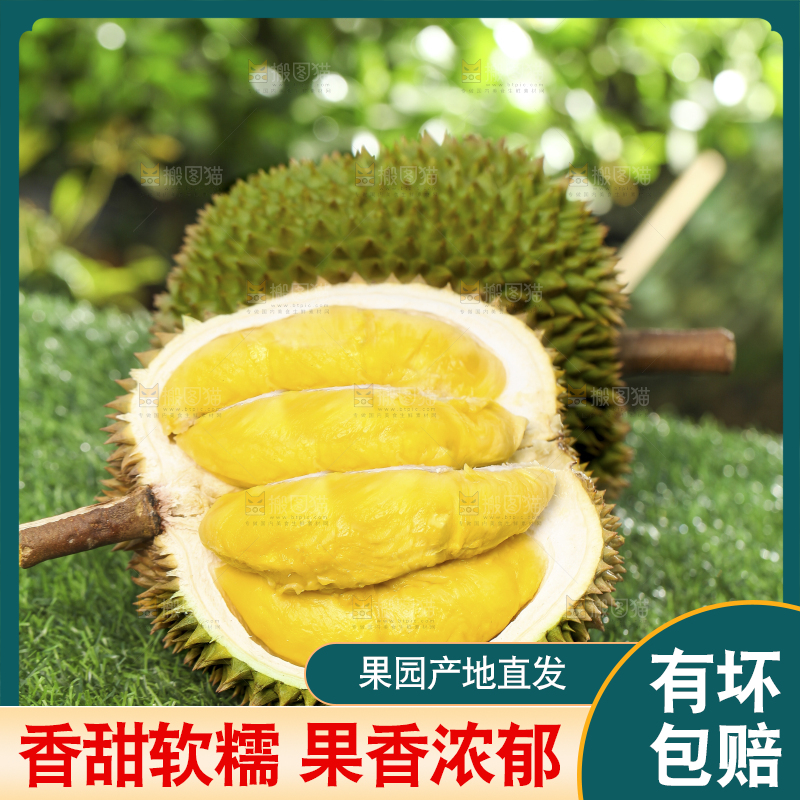 草地上摆放着甲仑榴莲