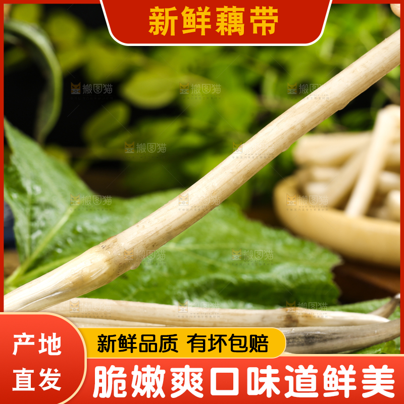 手里拿着新鲜藕带