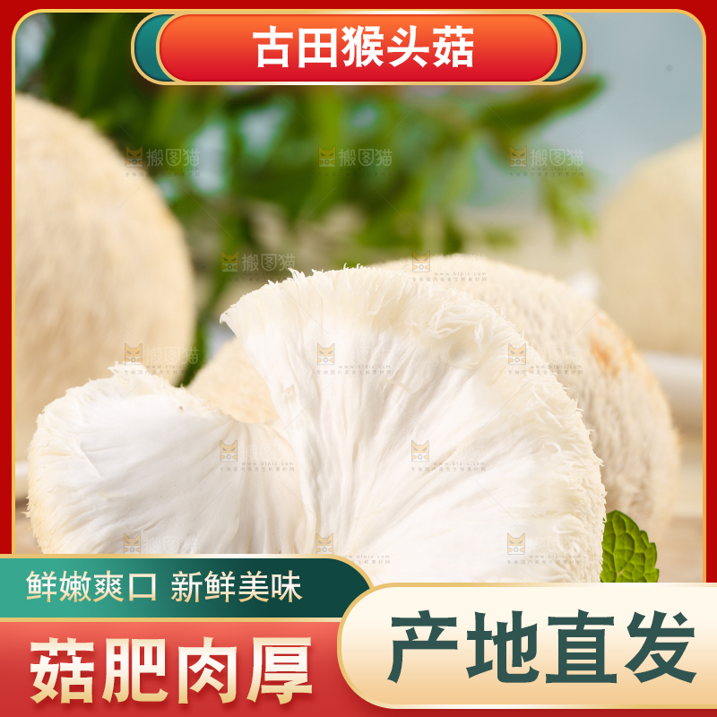 木板上放着长白山猴头菇