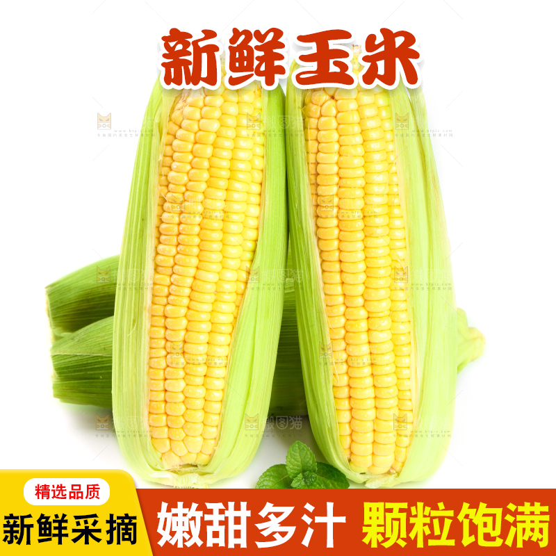 白底上放着黄玉米