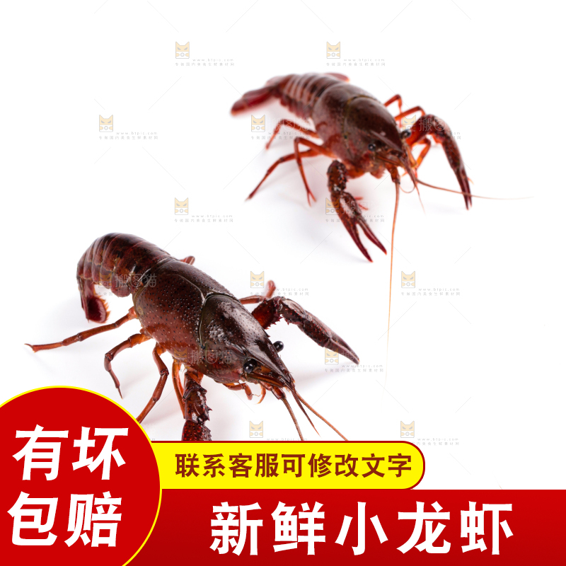 白底上放着潜江小龙虾