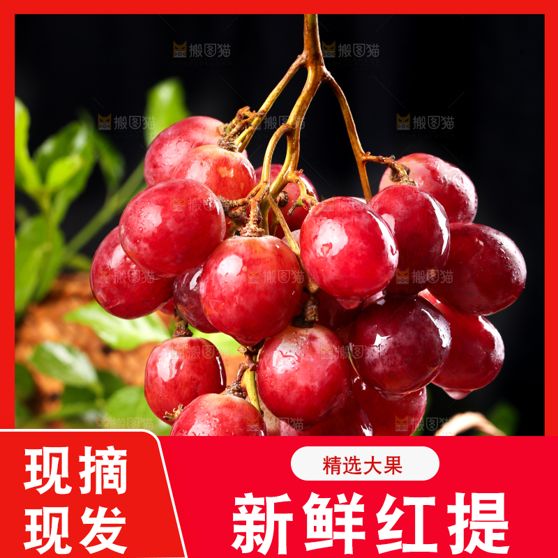 手拿新鲜红提