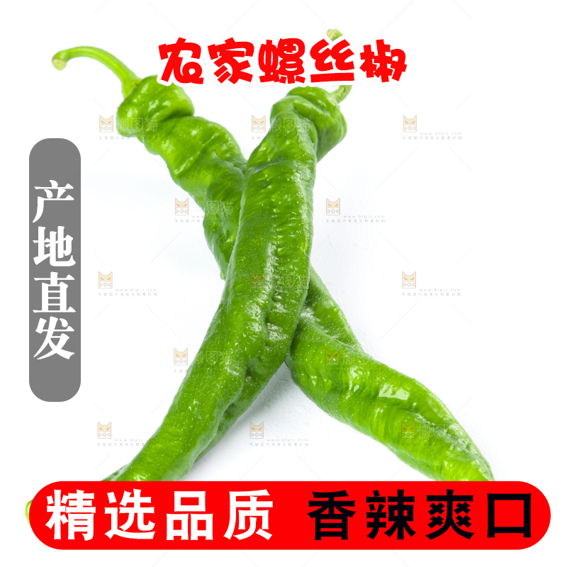 白底上摆放着青螺丝椒