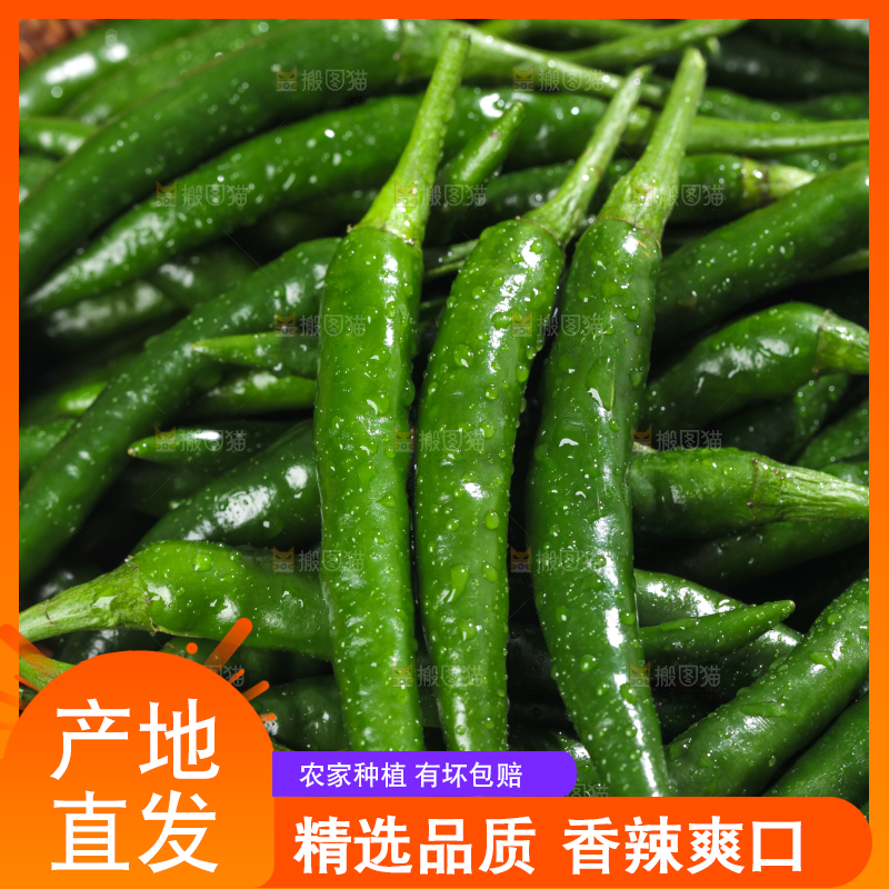 木底上放着一筐青米椒