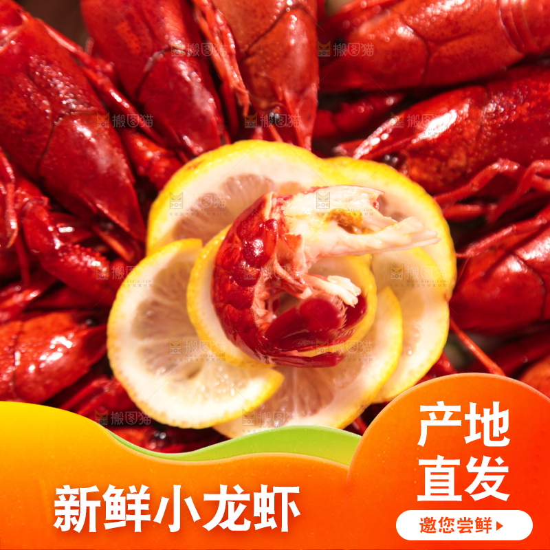 浅底上放着一盘龙虾
