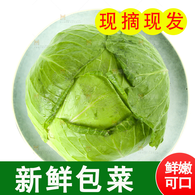 白底上放着一盘包菜