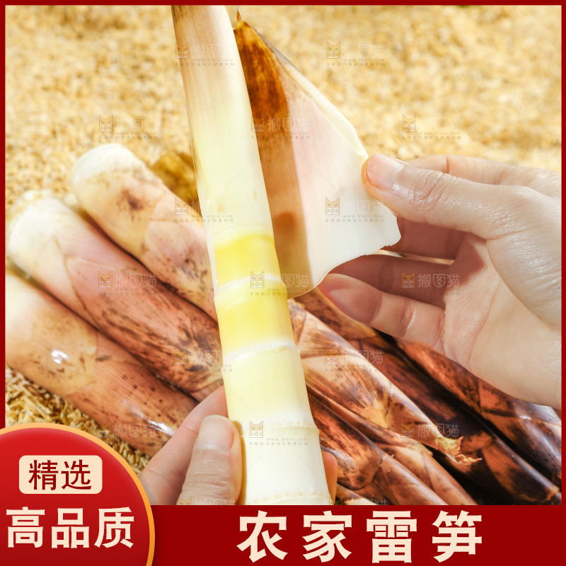 手拿剥皮的雷笋