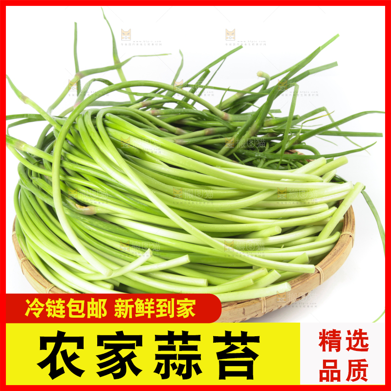 白底上放着一筐山东蒜苔