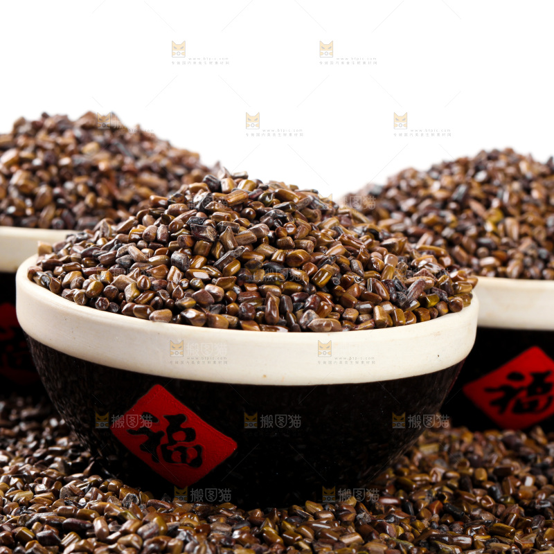 浅底上的宁夏决明子