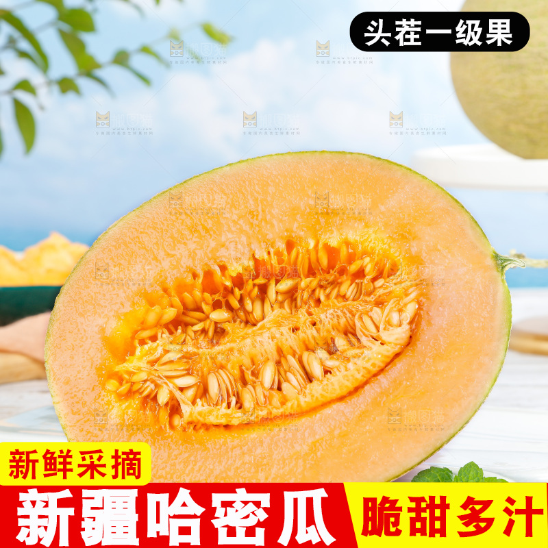 哈密瓜主图