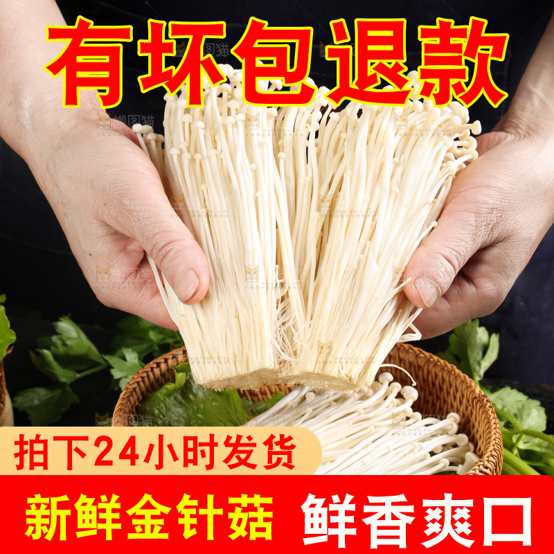 手拿新鲜金针菇
