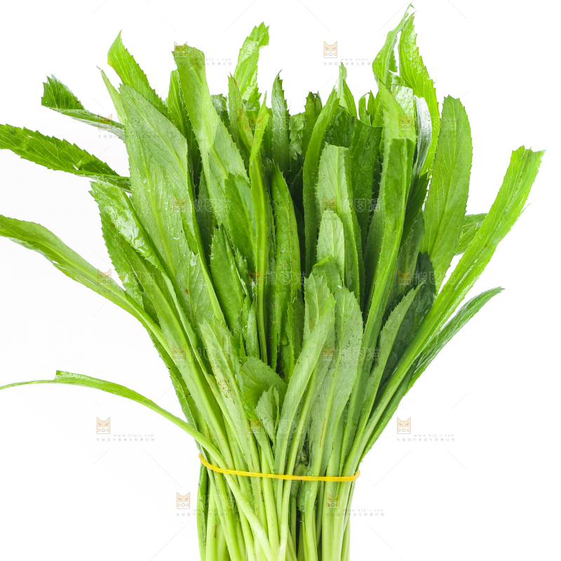 白底上的大香菜