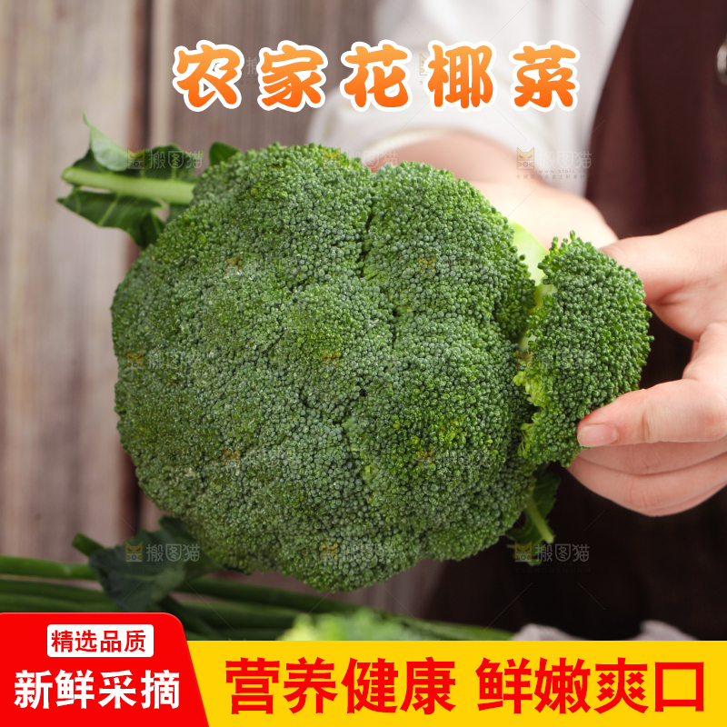 手拿新鲜西兰花