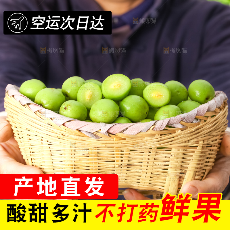 手拿一筐云南大理青梅