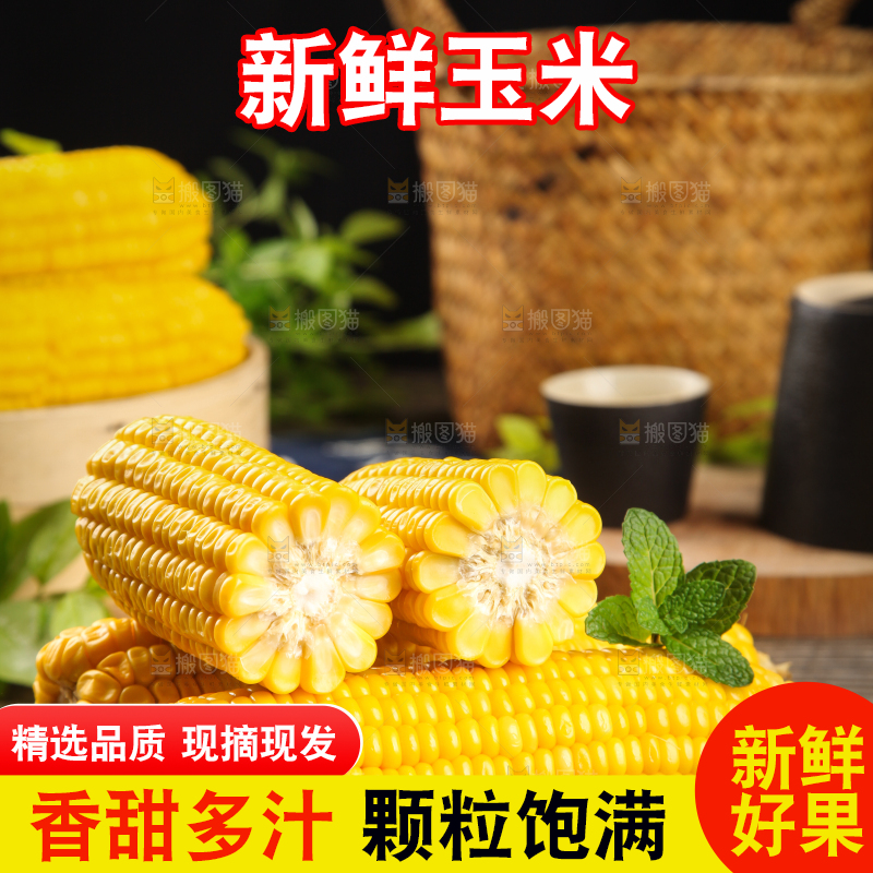 木板上的东北玉米