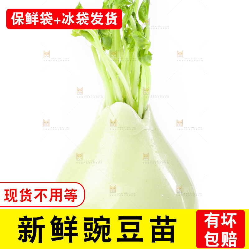 白底上放着豌豆芽菜