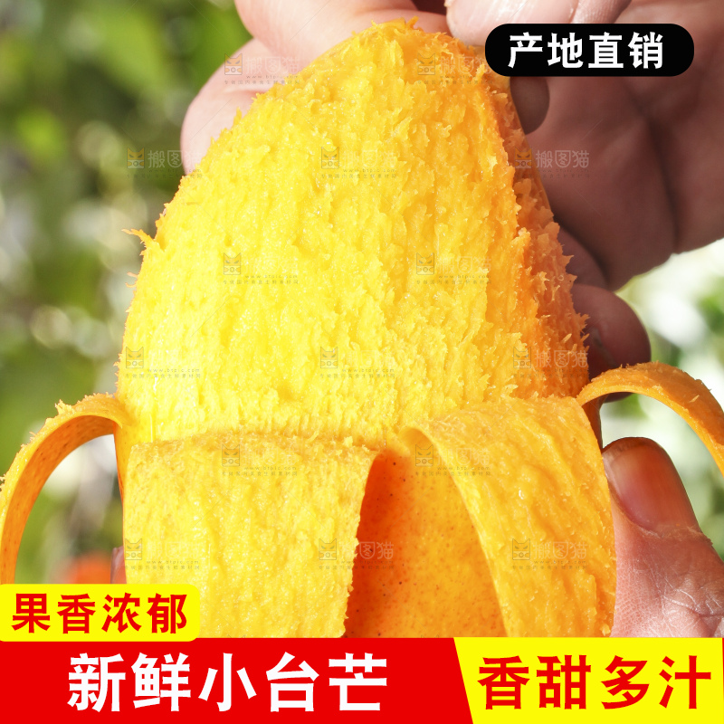 手拿剥皮的小台农芒