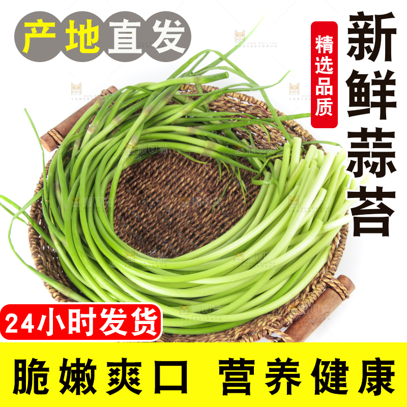 白底上放着一筐山东蒜苔