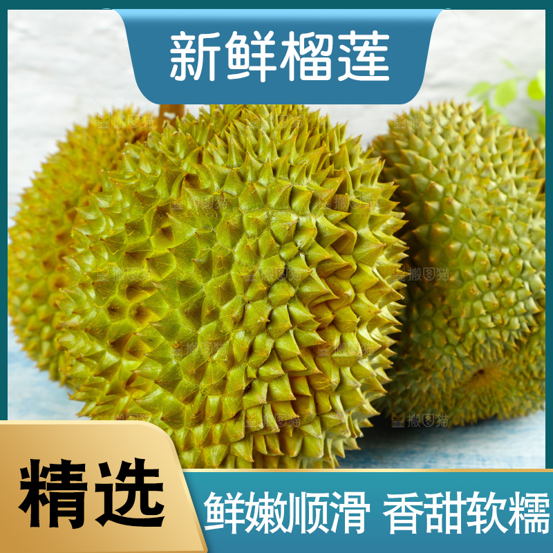 蓝底上的巴掌榴莲