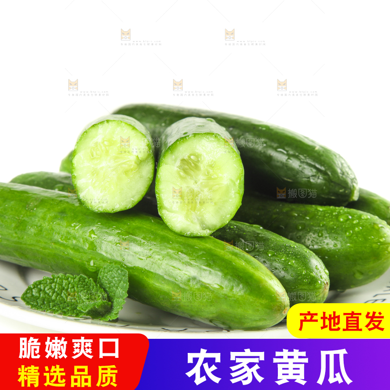 盘子里的无刺小黄瓜