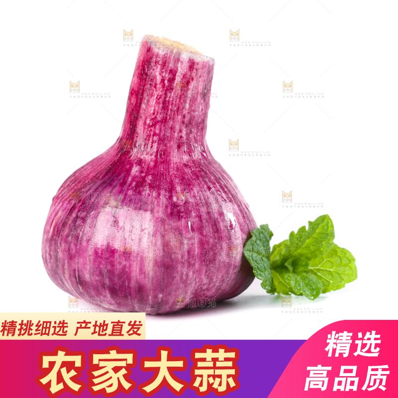白底上放着紫皮大蒜