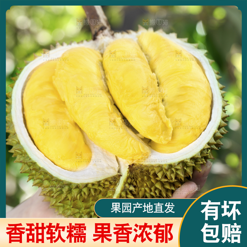 榴莲主图