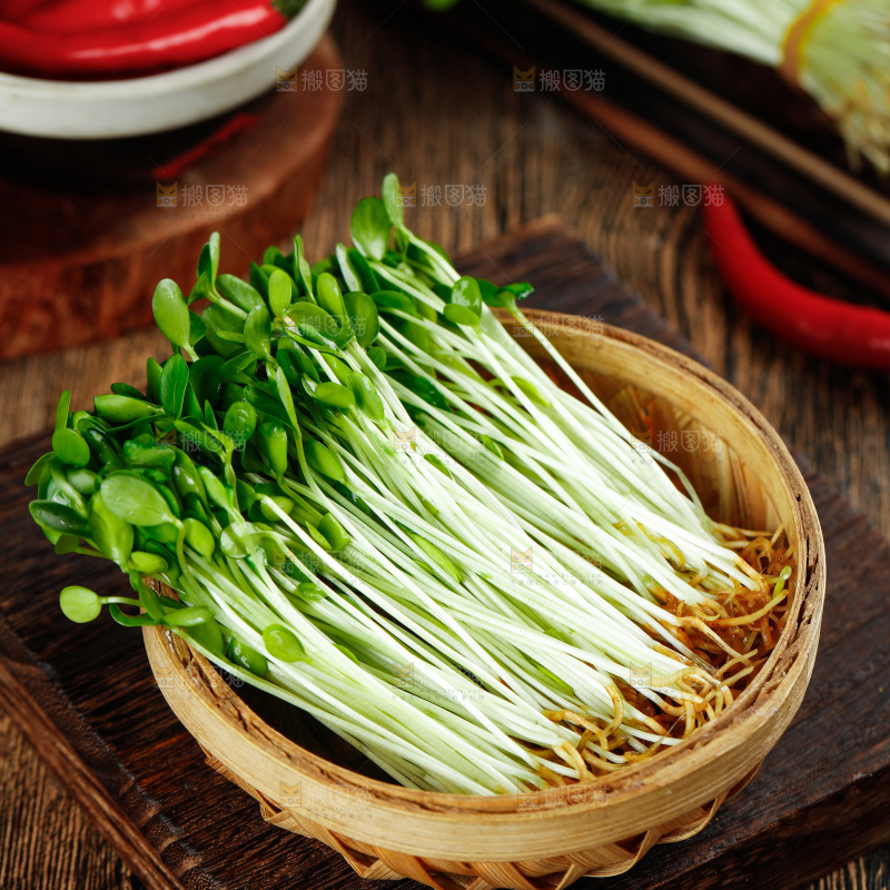 木底上放着新鲜的香椿芽苗