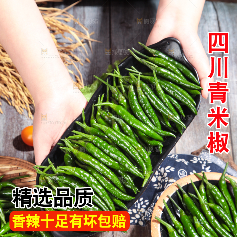 手拿一盘新鲜的青米椒