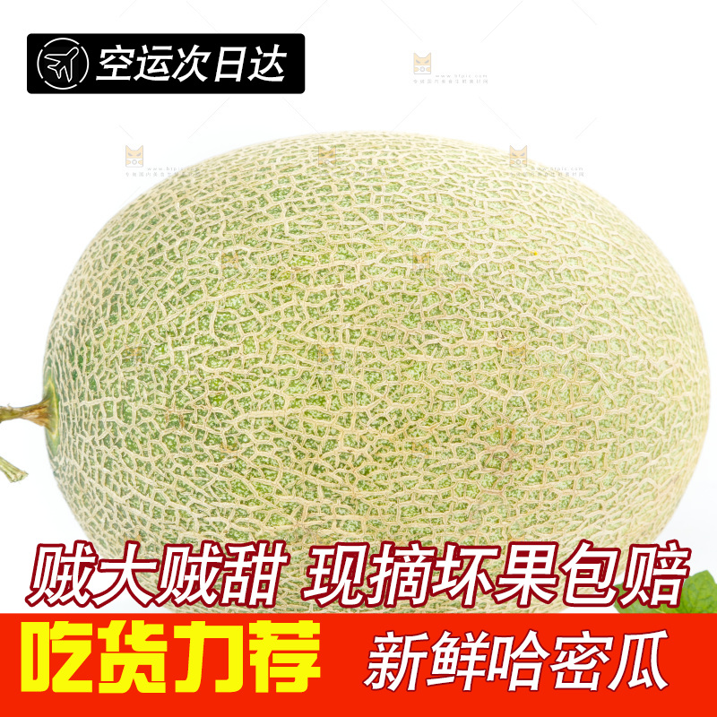 白底上的新疆哈密瓜