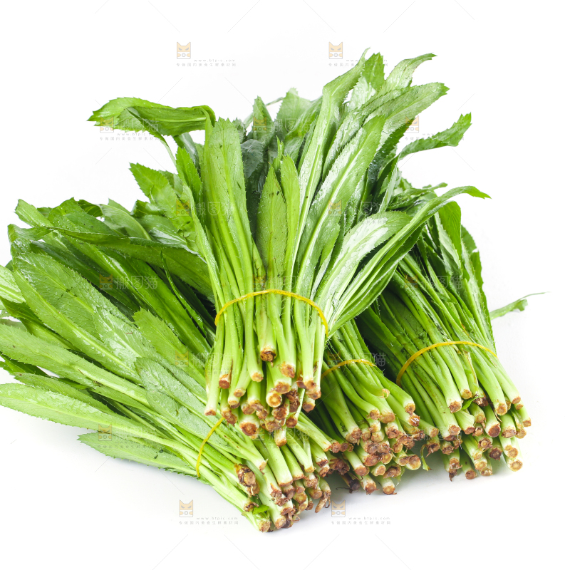白底上的大香菜