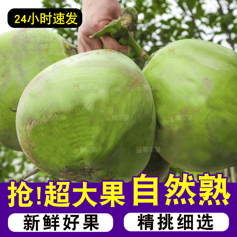 手拿海南大椰青