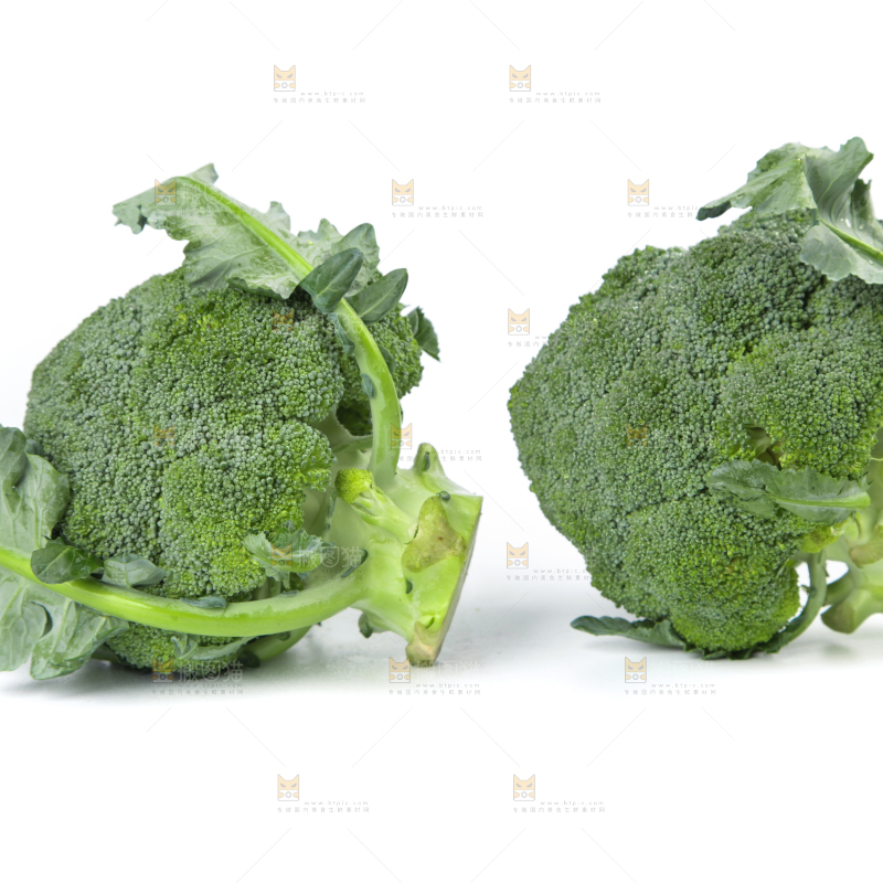 白底上的新鲜西兰花