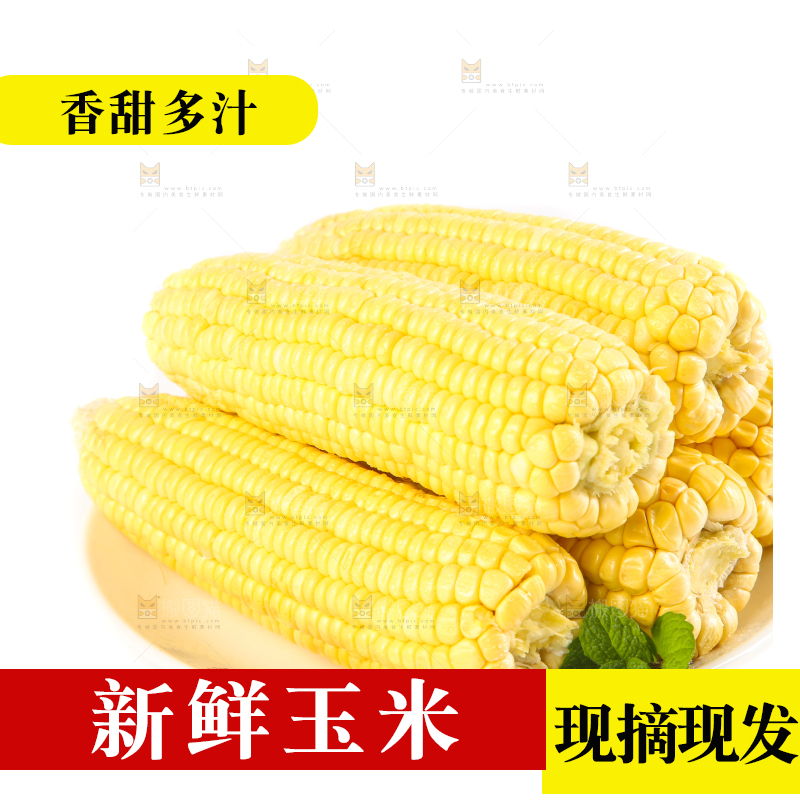 白底上放着一盘黄玉米