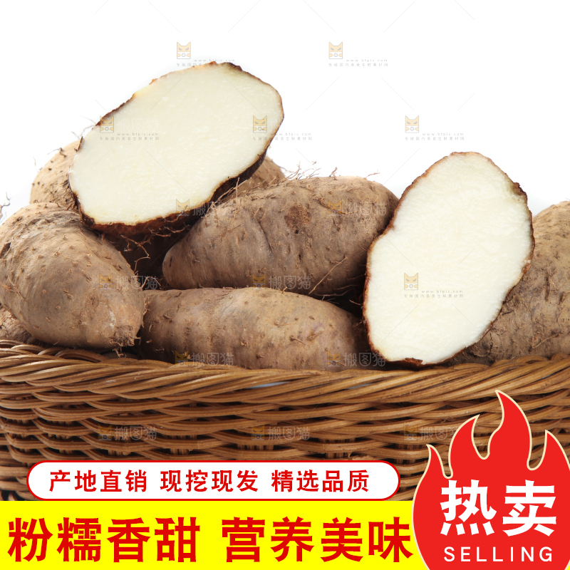 一筐广东毛薯放在白底上