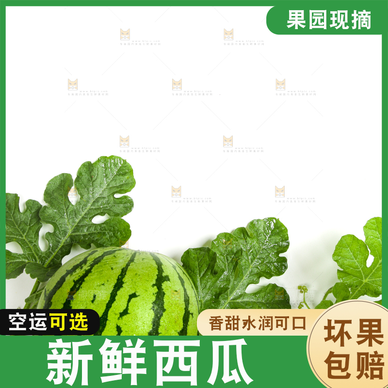 白底上的新鲜西瓜