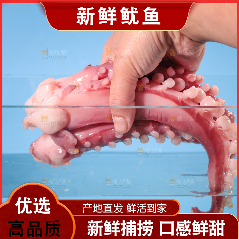 水里放着鱿鱼须