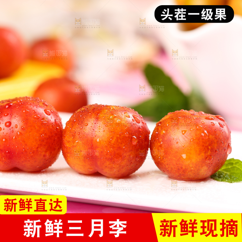 白石板上摆放着钱排三月李
