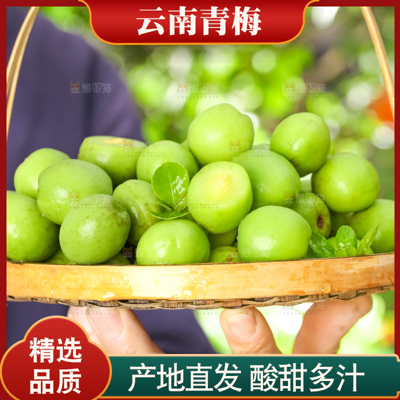 手拿一篮野生青梅