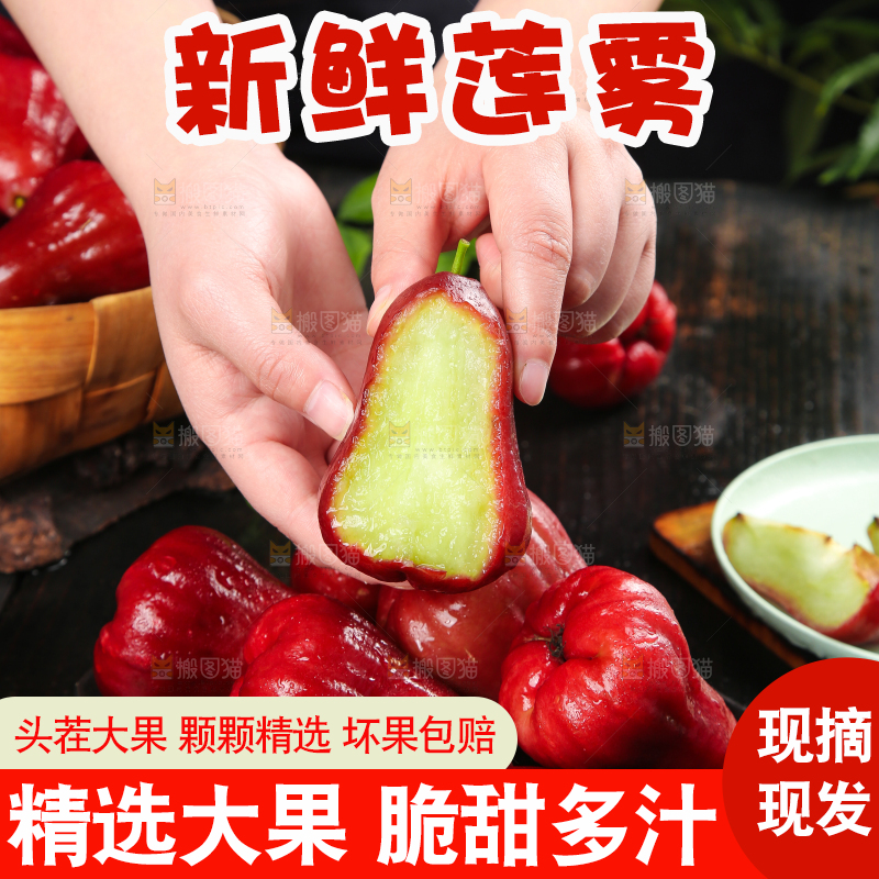 手拿新鲜莲雾